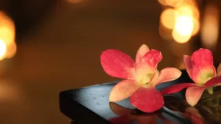 ホームページを開設しました